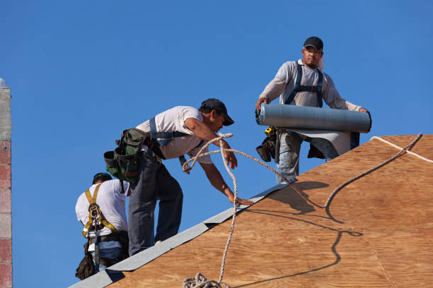 Best Roof Repair Services  in Dunkirk, NY