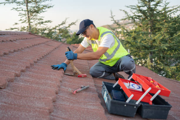 Best Commercial Roofing Services  in Dunkirk, NY