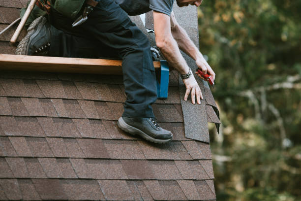 Best Roof Gutter Cleaning  in Dunkirk, NY